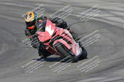 media/Nov-16-2025-Race Pace (Sun) [[8c5fa54630]]/Verified Riders/1-Turns 9 and 10 (925am)/